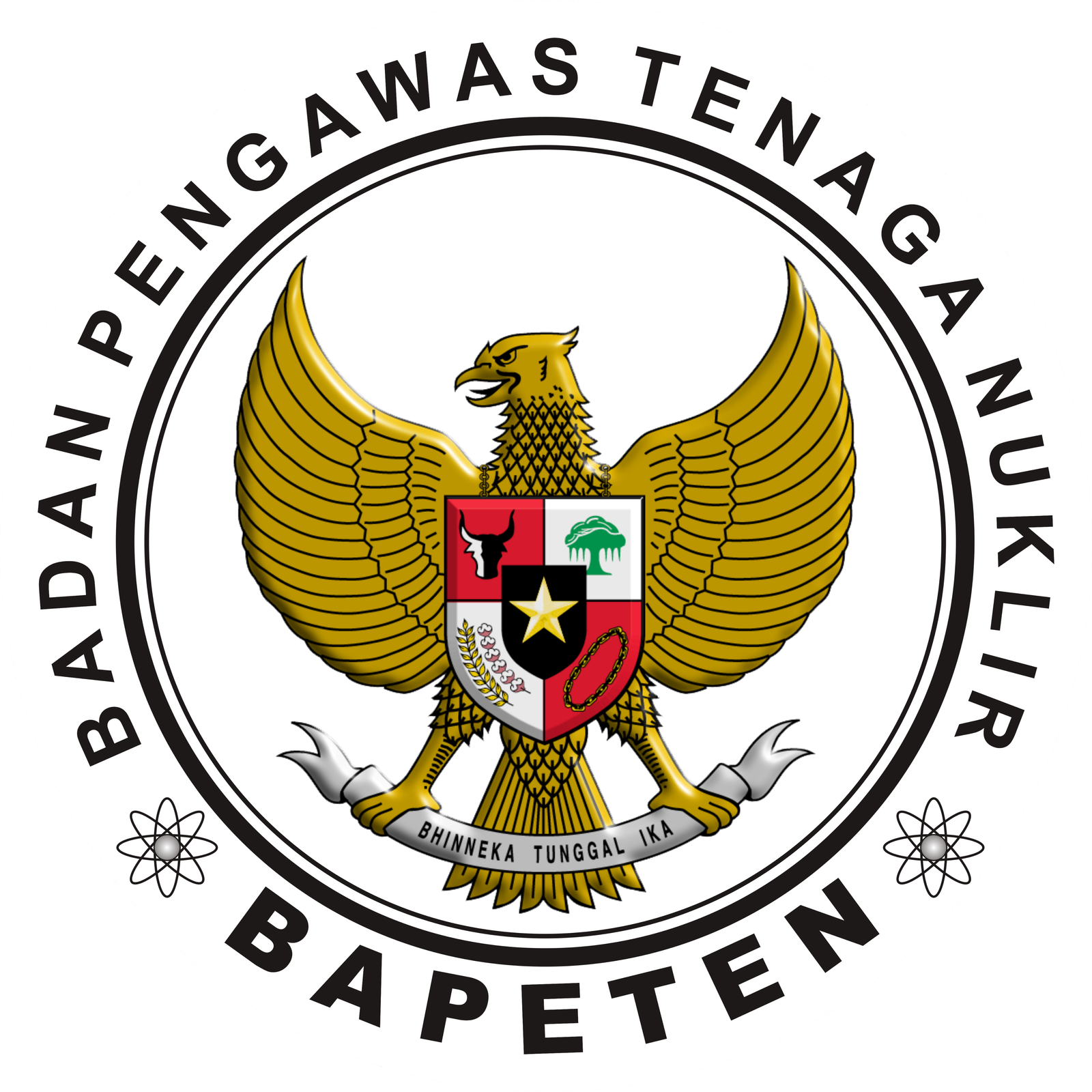 Regulatory & Enabling Framework organization logo